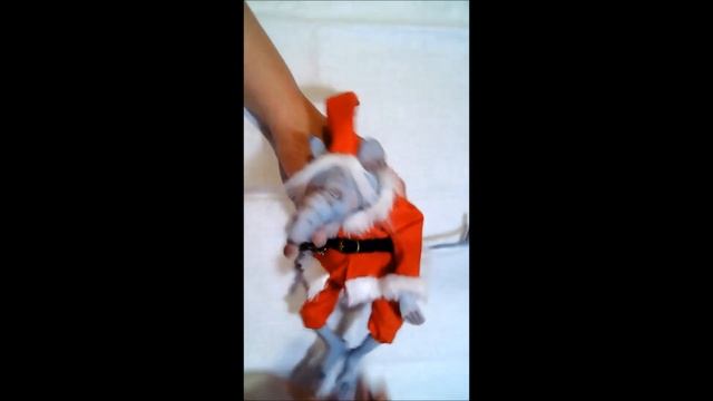 Санта Крыса презентация смотреть онлайн