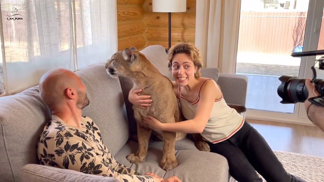 Съёмки о съёмках. Репортаж о пуме Месси