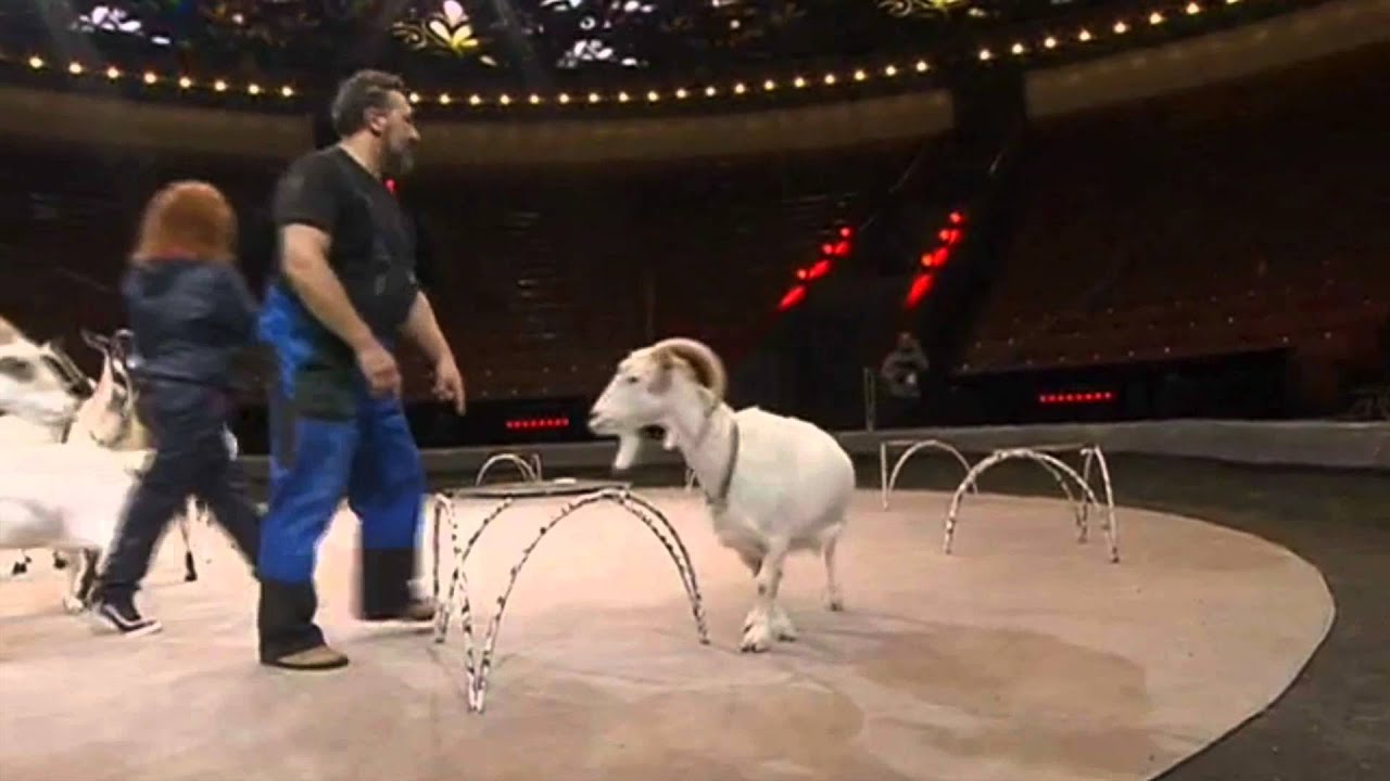 ВЕСТИ МОСКВА 'СЕКРЕТЫ ЗАКУЛЬСЬЯ' смотреть онлайн