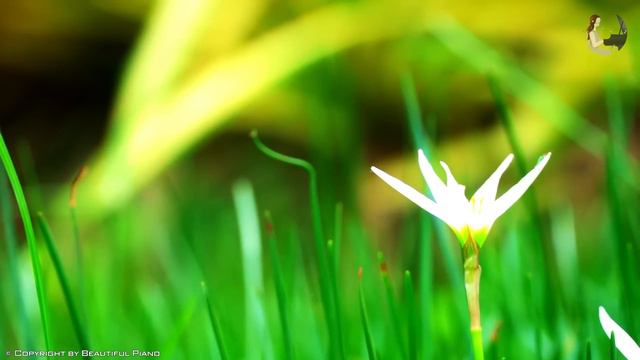 The Best Relaxing Piano Classical Love Songs - 100 Most Classica Famous Pieces - Classical Music