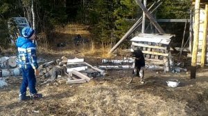 Собачья будка для немецкой овчарки