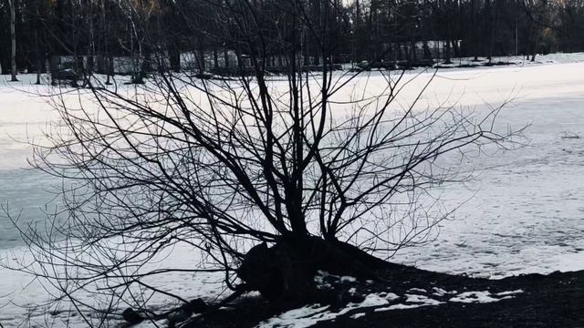 VID 20230406 234718 Из мышиных стихов 1914 (В. Ходасевич)...Павел Васильев Лахтинский смотреть онлайн