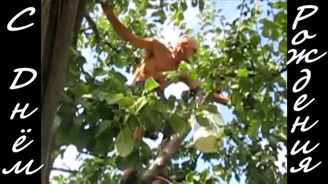 Не кочегары мы, не плотники, а мы уДАЧНИКИ - ВЫСОТНИКИ смотреть онлайн