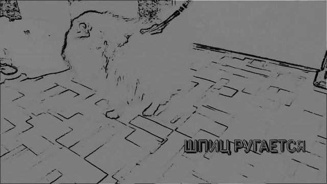 Шпиц бесится смотреть онлайн