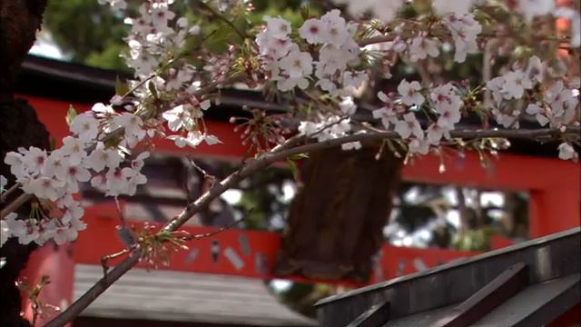 Виртуальное путешествие: Сакура - реприза смотреть онлайн