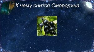 К чему снится Смородина (Сонник)