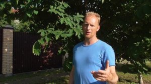 Александр Петров. Пятна на каштане и каштановая минирующая моль или охридский минёр