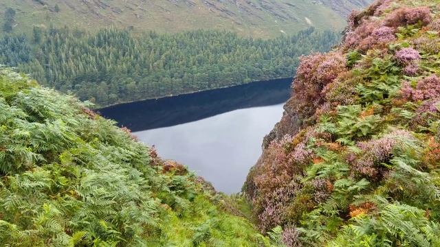 Spinc And Glenealo Valley Walk, Glendalough, Co. Wicklow, Ireland.