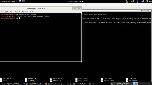 reverse shell with bash on any unfiltered port смотреть онлайн