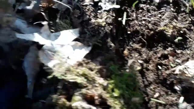 Хьонк карина в Германии смотреть онлайн