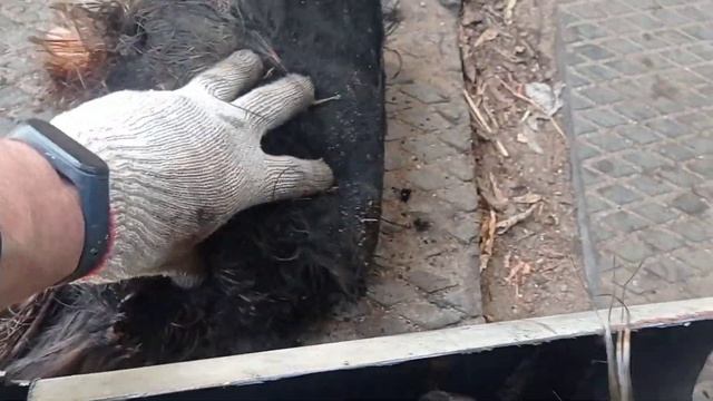 Выхлопная из нержавейки. Opel omega b смотреть онлайн