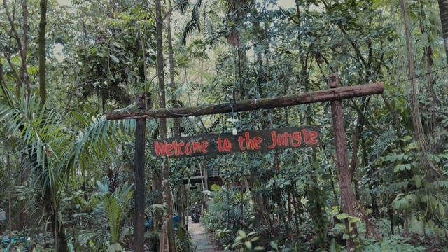 PROFILE SINGKAT ARBORETUM SYLVA UNTAN PONTIANAK 2022 смотреть онлайн