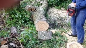 Хускварна 142 и 357ХР,заметьте разницу