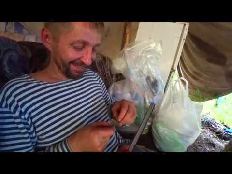 Ореховая лихорадка, испытание кедротряса, заехали к Володе. смотреть онлайн