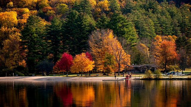 Так трогательно и романтично звучит саксофон смотреть онлайн