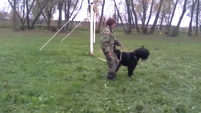 VID_20161016_144149 смотреть онлайн