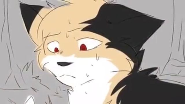 Коты воители- герой смотреть онлайн