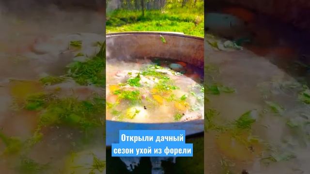Открыли дачный сезон вкуснейшей ухой из форели смотреть онлайн