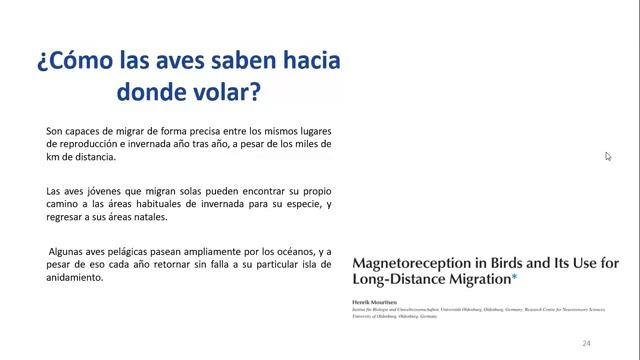 Adaptaciones de las aves para la migración смотреть онлайн