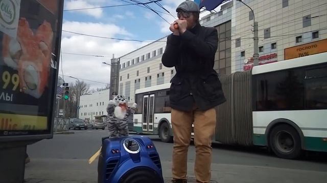 [Random video] Весенний Питер смотреть онлайн