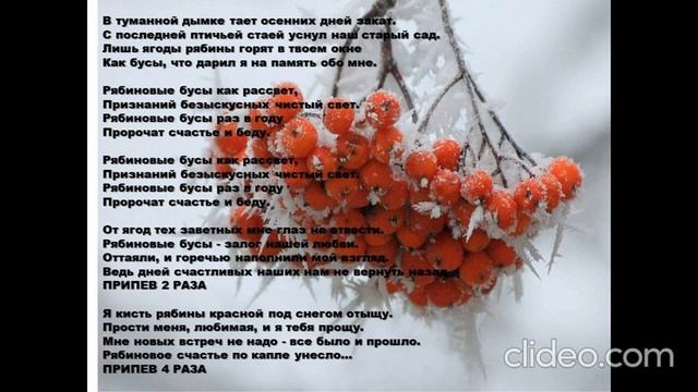Рябиновые бусы. Караоке смотреть онлайн