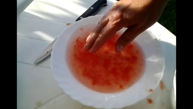 СЕМЕНА ТОМАТОВ (помидоров) готовим на следующий год смотреть онлайн