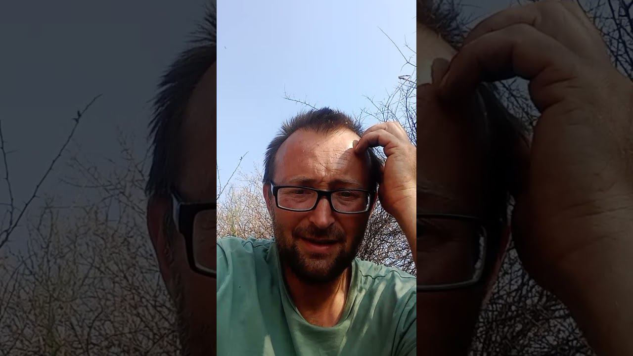 Стрим от желтых львов в Инстаграме. 25 Сентября. смотреть онлайн