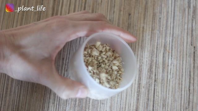 Игровой Мир