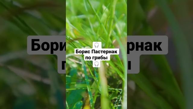 Борис Пастернак по грибы слушайте русскую поэзию смотреть онлайн