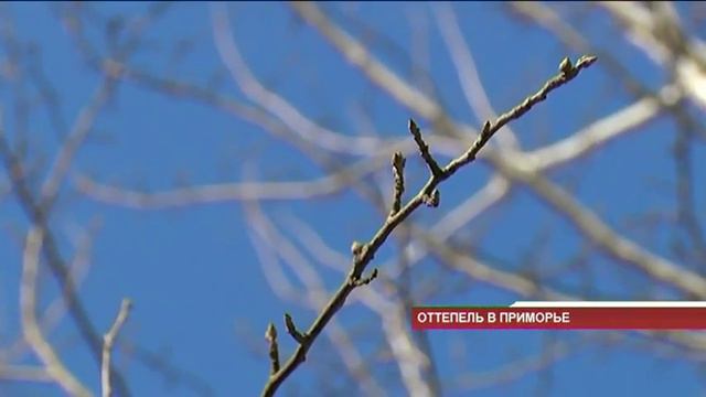 Погода смягчится во второй половине недели смотреть онлайн