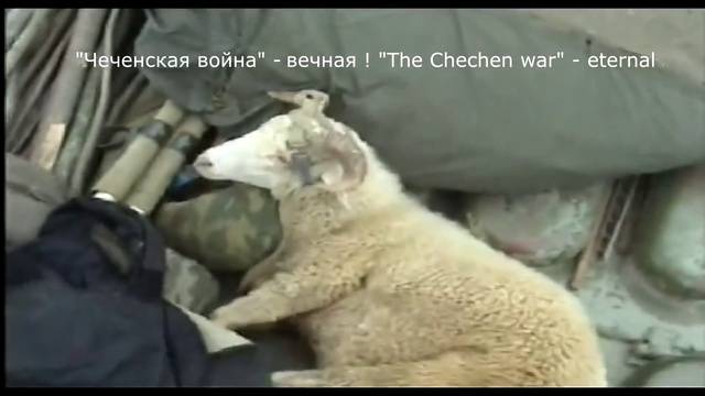 В/Ч 6846 ВВ МВД РФ .14 комендатура н/п Курчалой , Чеченской республики.2000-е года смотреть онлайн