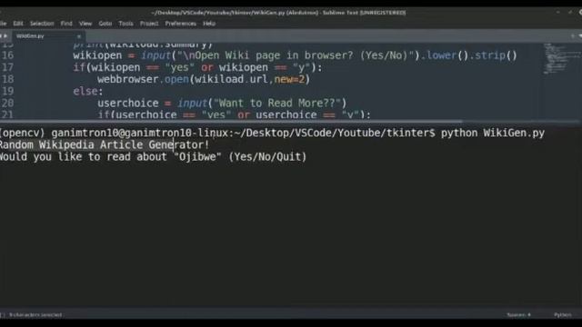 Random Wikipedia Article Using Python смотреть онлайн