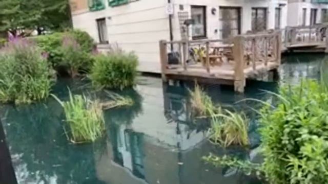 Прогулки по Лондону: Canada Water