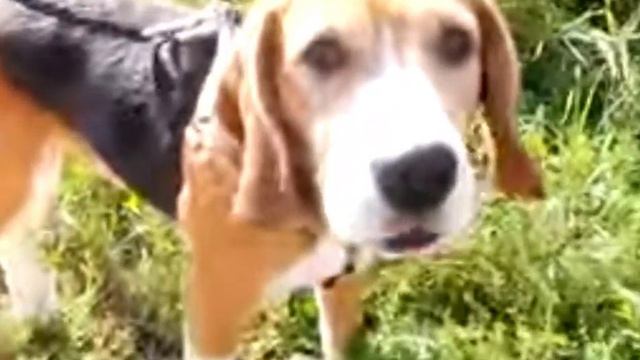 РАКЕТА ИЗ КОКА КОЛЫ смотреть онлайн