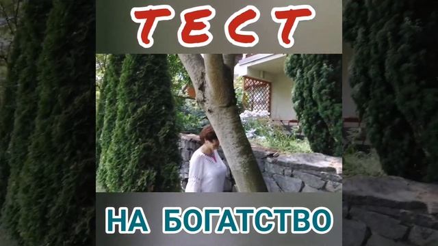 Практика, ПРАКТИКА. Тест НА БОГАТСТВО смотреть онлайн