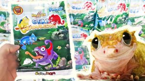 ЗЕФИРНЫЕ ИГРУШКИ АНТИСТРЕСС ГЕККОНЫ И ХАМЕЛЕОНЫ! Обзор новой коллекции сюрпризов СБАБАМ НОВИНКА 2022