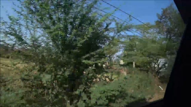 114. Утро в ПУШКАРЕ перед отъездом в ДЖАЙПУР. Волнуюсь за храм крыс, как там бедные крыски? ИНДИЯ. смотреть онлайн