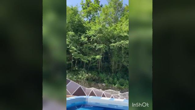 Йога Тур к Чёрному морю смотреть онлайн
