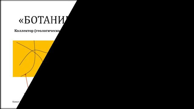 виды углеводородов нефти