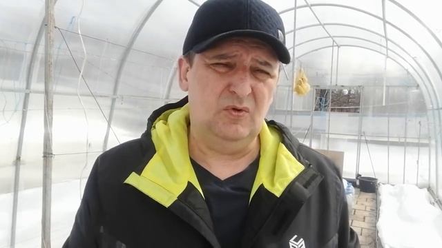 2021 год. Когда открывать виноград. смотреть онлайн