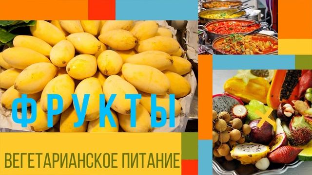 Йога-тур в Индию! Октябрь 2023! Две недели приключений, трансформаций и перезагрузки ждут вас! смотреть онлайн