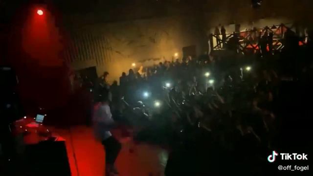 фогель видео с концертов