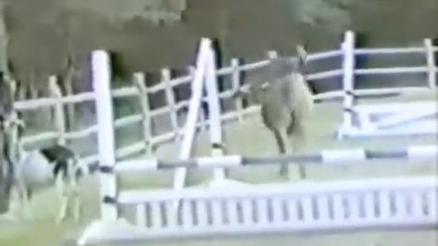 AFV First Episode