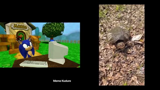 Sonic Reacts to Memes смотреть онлайн