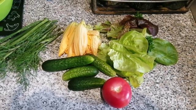 03-04.07.22 Минус 1 кг за 2 дня-мой вкусный рацион-сад. смотреть онлайн