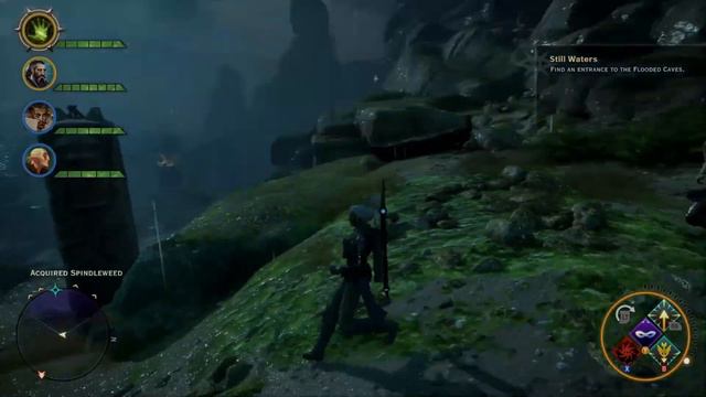 [51] Dragon Age: Inquisition | Wyvern Time! смотреть онлайн