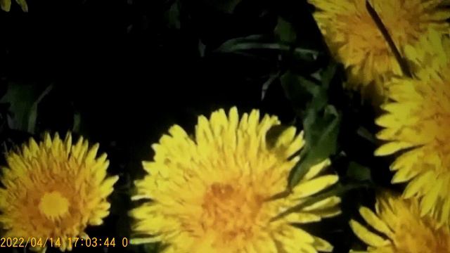 Ольга правдивая -заграница вам поможет . Догонит и добавит . смотреть онлайн