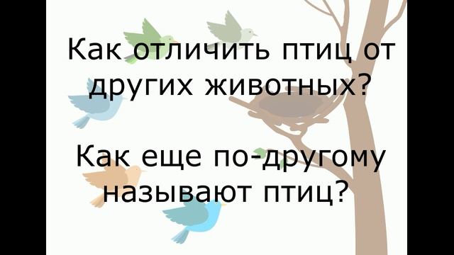 Скопа птица 2018 года смотреть онлайн