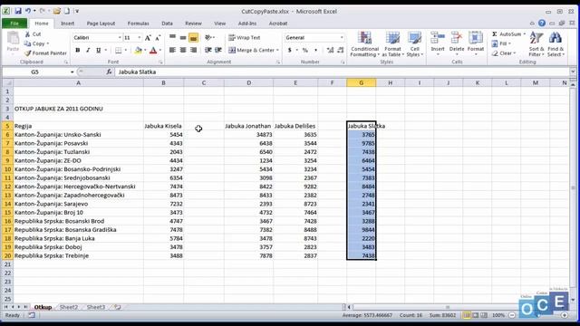 Kako koristiti komande CUT. COPY & PASTE (Excel 2010) смотреть онлайн