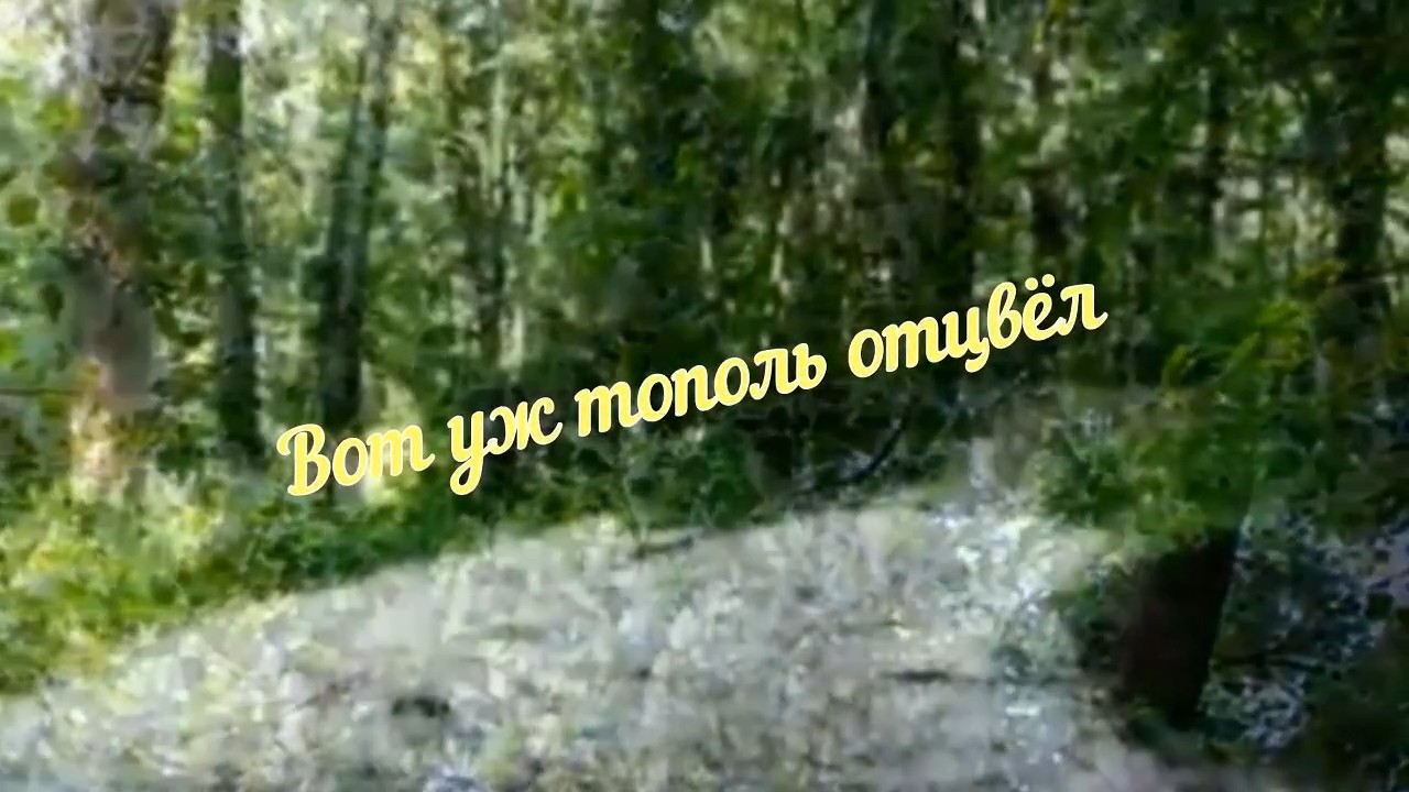 Новый проект Вот уж тополь отцвёл.mp4 смотреть онлайн